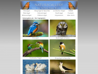 naturegallery.de Webseite Vorschau