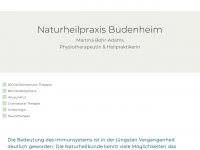 naturheilpraxis-budenheim.de Webseite Vorschau