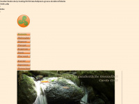 naturheilpraxis-groess.de Webseite Vorschau