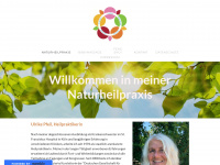 naturheilpraxis-pfeil.de