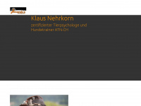 nehrkorn.ch Webseite Vorschau