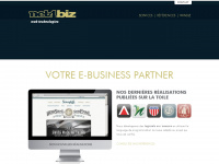 net4biz.ch Webseite Vorschau