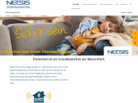 netsis.de Webseite Vorschau
