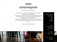 netts.ch Webseite Vorschau