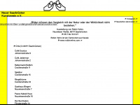 neuersaarbrueckerkunstverein.de Webseite Vorschau