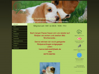 new-impressions-beagle.de Webseite Vorschau