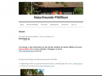 nf-pfaeffikon.ch Webseite Vorschau