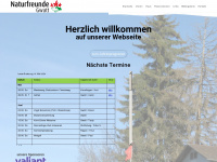 nfgwatt.ch Webseite Vorschau