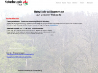 nft.ch Webseite Vorschau