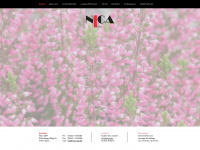 nica-gbr.de Webseite Vorschau