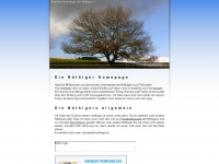 noethiger.ch Webseite Vorschau