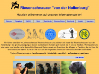 nollenburg.de Webseite Vorschau