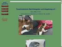tierschutzverein-berchtesgaden.de Webseite Vorschau