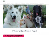 tierheim-regen.de Webseite Vorschau