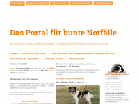berner-sennenhunde-in-not.de Webseite Vorschau