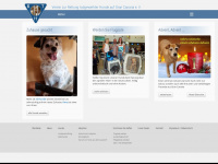 armehunde.com Webseite Vorschau