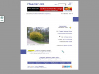 huecker.com Webseite Vorschau