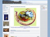 nord-fossil.de Webseite Vorschau
