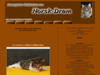norsk-drom.ch Webseite Vorschau