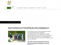 nverlinsbach.ch Webseite Vorschau
