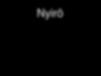 nyiroe.de Webseite Vorschau