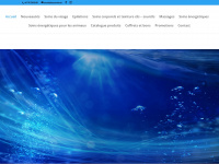 oceannick.ch Webseite Vorschau