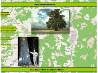 odenwaldbaum.de Webseite Vorschau