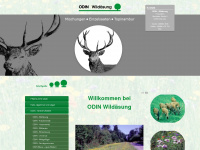 odin-wildaesung.de Webseite Vorschau