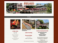 tanzhalle-schuetzenhaus.ch Webseite Vorschau