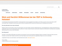 oedp-sh.de Webseite Vorschau