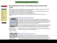 ofenrohr-thermometer.de Webseite Vorschau