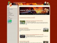 bfkdo-baden.com Webseite Vorschau