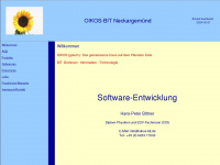 oikos-bit.de Webseite Vorschau