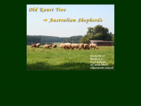old-kauri-tree.de Webseite Vorschau