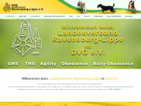 dvg-lv-ravensberg-lippe.de Webseite Vorschau