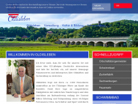 oldisleben.de Webseite Vorschau