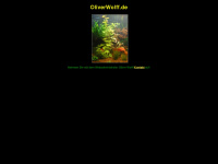oliverwolff.de Webseite Vorschau