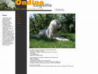 ondino.ch Webseite Vorschau