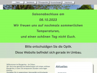 orbes.de Webseite Vorschau