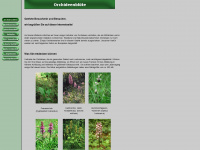 orchideenbluete.de Webseite Vorschau