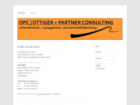ottiger-consulting.ch Webseite Vorschau