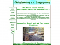 oekostation-sgh.de Webseite Vorschau