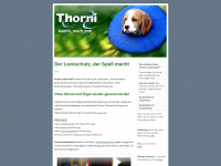 thorni.de Webseite Vorschau