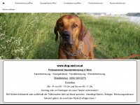 dog-and-co.at Webseite Vorschau