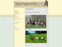 paint-horses-zucht-odenwald.de Webseite Vorschau