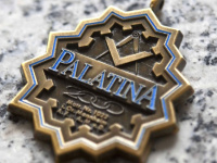 palatina-online.de Webseite Vorschau