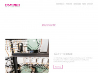 pammer.co.at Webseite Vorschau
