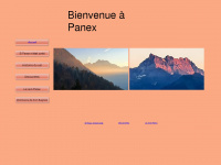 panex.ch Webseite Vorschau