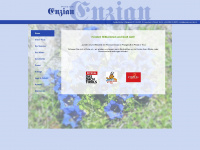 pension-enzian.at Webseite Vorschau