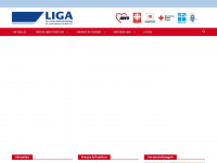 liga-fw-lsa.de Webseite Vorschau